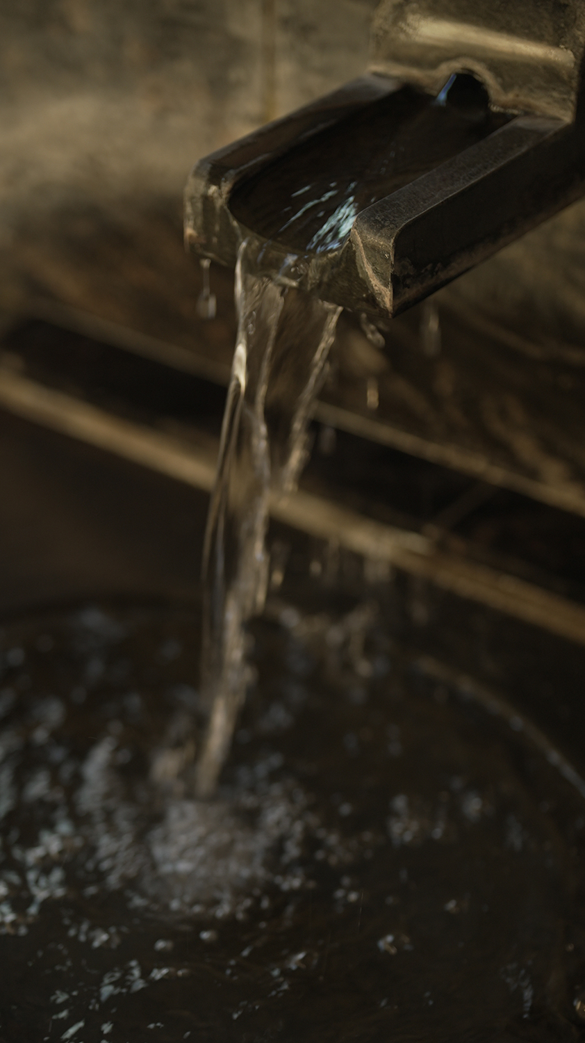 The Spirit of Saitama: A Sensory Journey Through Brewing and Distilling Heritage