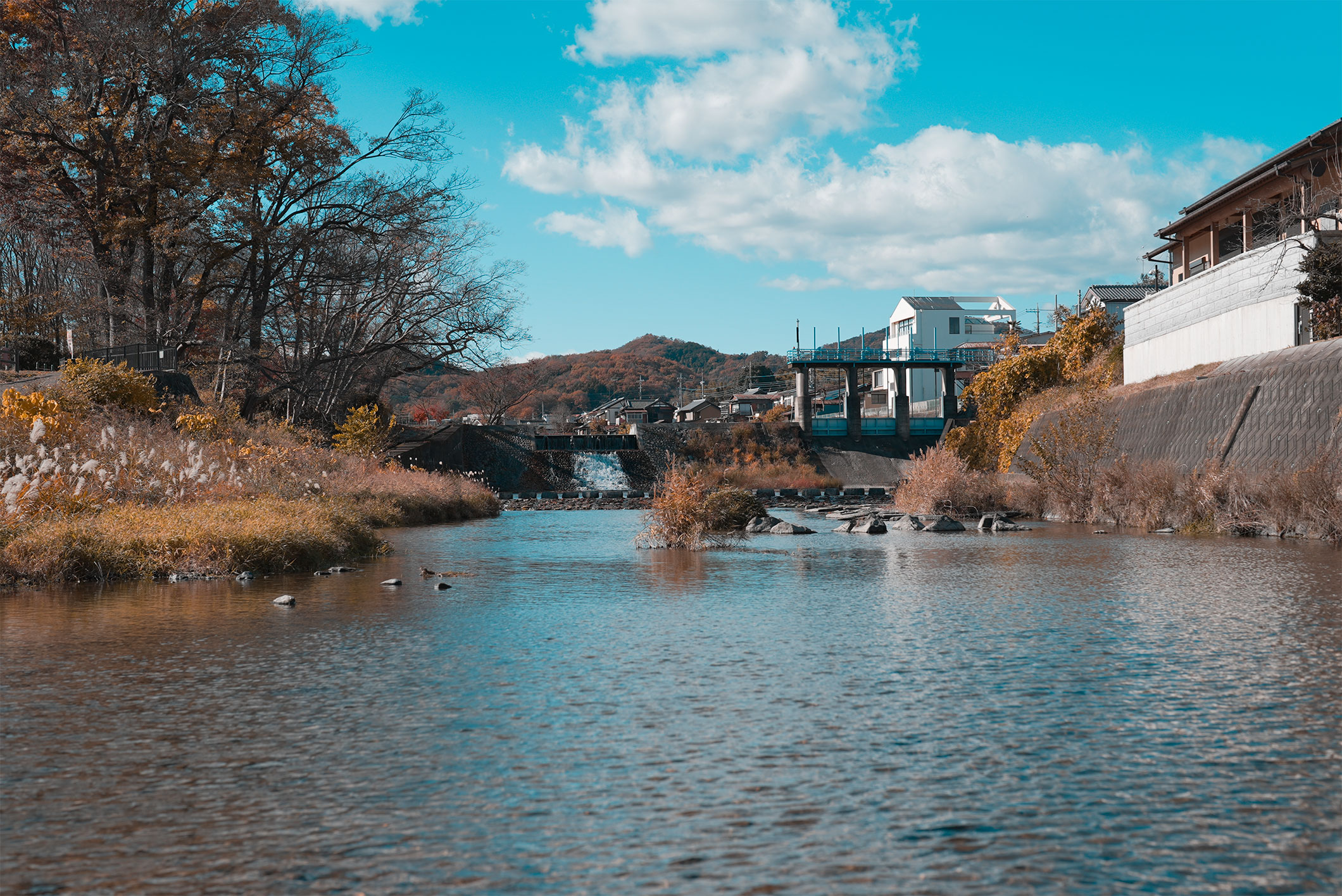 The Spirit of Saitama: A Sensory Journey Through Brewing and Distilling Heritage